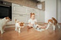 Cute ginger kitten drinking milk on the floor isolated on white background Royalty Free Stock Photo