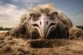 Portrait of an ostrich in the sand. Selective focus, A scared ostrich burying its head in the sand concept, AI Generated Royalty Free Stock Photo