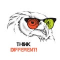 Portrait of the owl in the colored glasses. Think different