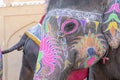 Portrait of painted elephant walking up to Amber Fort in historical city of Amer, Jaipur, Rajasthan, India Royalty Free Stock Photo