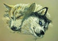 Pastel painting of two husky dogs