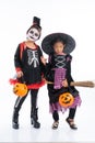 Portrait pair of little girls in Halloween and carnival costume isolated on white background
