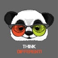 Portrait of the panda in the colored glasses. Think different. Vector illustration. Royalty Free Stock Photo