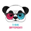 Portrait of the panda in the colored glasses. Think different. Vector illustration. Royalty Free Stock Photo