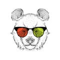 Portrait of the panda in the colored glasses. Think different. Vector illustration. Royalty Free Stock Photo