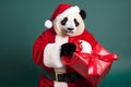 Portrait of a Panda Dressed in a Red Santa Claus Costume in Studio with Colorful Background