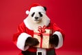 Portrait of a Panda Dressed in a Red Santa Claus Costume in Studio with Colorful Background