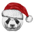 Portrait of Panda with Santa Hat. Royalty Free Stock Photo