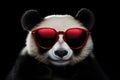 Portrait Panda With Sunglasses Black Background