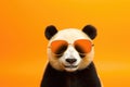 Portrait Panda With Sunglasses Orange Background