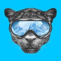 Portrait of Panther with ski goggles.