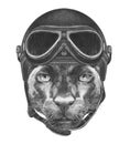 Portrait of Panther with Vintage Helmet.