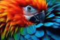 Portrait of a parrot close-up