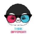 Portrait of the penguin in the colored glasses. Think different. Vector illustration. Royalty Free Stock Photo