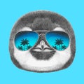 Portrait of Penguin with mirror sunglasses.