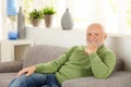 Portrait of pensioner on couch Royalty Free Stock Photo