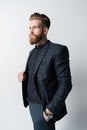 Portrait of pensive elegant bearded man in suit Royalty Free Stock Photo