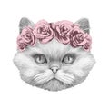 Portrait of Persian Cat with floral head wreath.