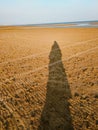 a person's shadow on the beach