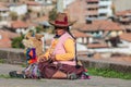 Portrait of peruvian old woman sitting on the street with lama Royalty Free Stock Photo