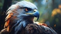 Portrait of Philippine eagle Illustration. Philippine eagle rare bird in the world. Illustration Ai generated Royalty Free Stock Photo