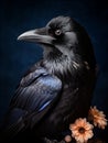 Portrait photo of a black raven with blue feathers and background and orange flowers