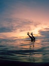 Portrait photograph of a girl doing a handstand in the ocean during sunset Royalty Free Stock Photo