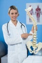 Portrait of physiotherapist holding spine model Royalty Free Stock Photo
