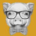 Portrait of Piggy with glasses and bow tie.