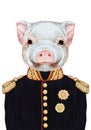 Portrait of Piggy in military uniform.