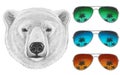 Portrait of Polar Bear with mirror sunglasses.