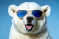 Portrait of polar bear wearing sunglasses close-up.