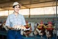 Smiling adult latin woman in plaid shirt and cap collecting eggs in chicken