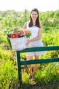 Portrait of positive slim woman with basket of ripe vegetables on sunny day in the garden