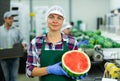 Portrait of positive woman fruit factory worker with watermelon