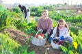 Portrait of a young woman with a teenage girl in the vegetable garden with a basket of crops Royalty Free Stock Photo