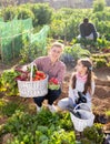 Portrait of a young woman with a teenage girl in the vegetable garden with a basket of crops Royalty Free Stock Photo