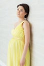 Portrait of a pregnant woman Royalty Free Stock Photo