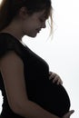 Portrait of pregnant woman in profile with hands on her stomach on a white isolated background, future life concept Royalty Free Stock Photo