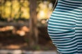 Portrait pregnant woman Royalty Free Stock Photo