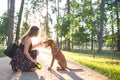 Pretty girl and a beautiful young dog in a park on a ride against the background of the sunrise