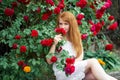 Portrait of a pretty redhead girl dressed in a white light dress on a background of blooming roses. Outdoor Royalty Free Stock Photo