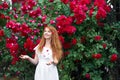 Portrait of a pretty redhead girl dressed in a white light dress on a background of blooming roses. Outdoor Royalty Free Stock Photo