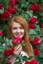 Portrait of a pretty redhead girl dressed in a white light dress on a background of blooming roses. Outdoor Royalty Free Stock Photo