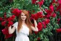 Portrait of a pretty redhead girl dressed in a white light dress on a background of blooming roses. Outdoor Royalty Free Stock Photo