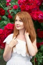 Portrait of a pretty redhead girl dressed in a white light dress on a background of blooming roses. Outdoor Royalty Free Stock Photo