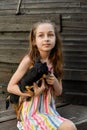 The child spending time with her pet. Little girl with chihuahua dog on the background of a wooden backdrop Royalty Free Stock Photo