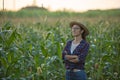 Portrait of pretty young farmer woman with crossed arms, Beautiful morning sunrise over the corn field. green corn field in Royalty Free Stock Photo