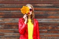 Portrait pretty young woman with autumn yellow maple leafs wearing a red leather jacket over wooden Royalty Free Stock Photo