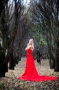 Portrait of princess in crown and red dress in forest. Autumn Royalty Free Stock Photo